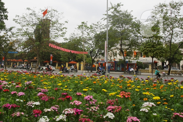 Hà Nội thành vườn hoa khổng lồ ngày giáp Tết 9