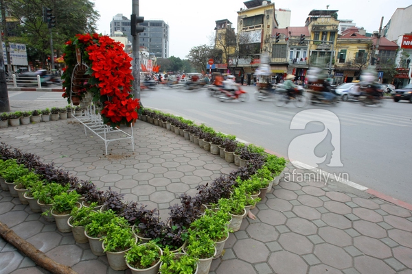 H&agrave; Nội th&agrave;nh vườn hoa khổng lồ ng&agrave;y gi&aacute;p Tết 10