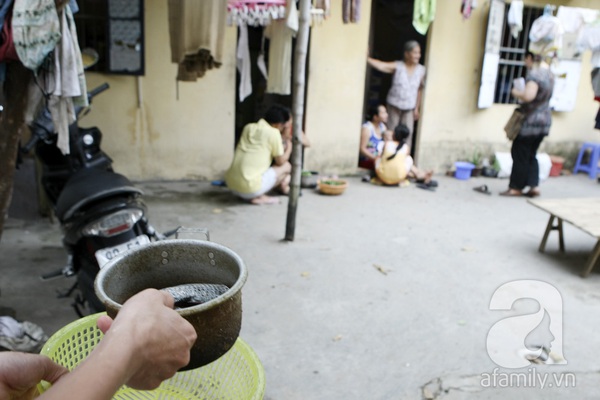 X&uacute;c động xem những cặp vợ chồng 