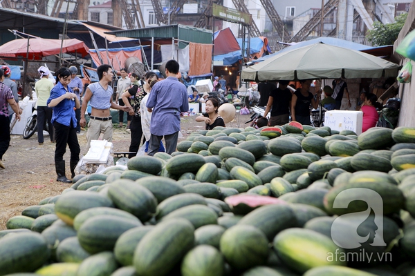 Giá thực phẩm rẻ ngỡ ngàng tại các chợ đầu mối khắp Hà Nội 11