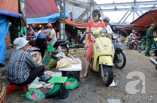 Giá thực phẩm rẻ ngỡ ngàng tại các chợ đầu mối khắp Hà Nội 22