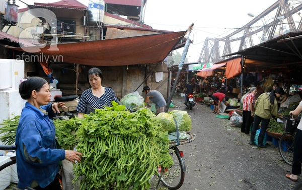 Giá thực phẩm rẻ ngỡ ngàng tại các chợ đầu mối khắp Hà Nội 14