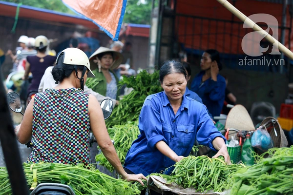 Giá thực phẩm rẻ ngỡ ngàng tại các chợ đầu mối khắp Hà Nội 18