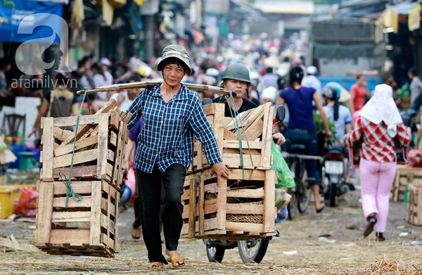 Giá thực phẩm rẻ ngỡ ngàng tại các chợ đầu mối khắp Hà Nội 12