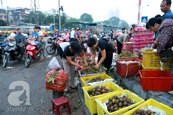 Giá thực phẩm rẻ ngỡ ngàng tại các chợ đầu mối khắp Hà Nội 8