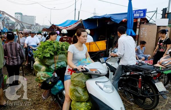Giá thực phẩm rẻ ngỡ ngàng tại các chợ đầu mối khắp Hà Nội 21