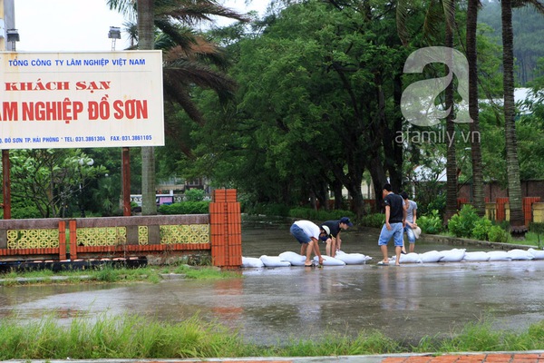 Đồ Sơn tiêu điều vì mưa bão 8