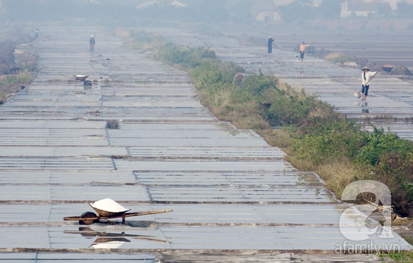 Những nữ diêm dân mải miết gom “quà của biển” 1