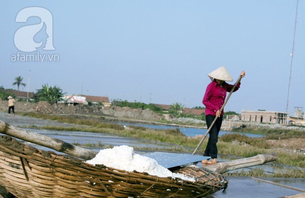 Những nữ diêm dân mải miết gom “quà của biển” 10