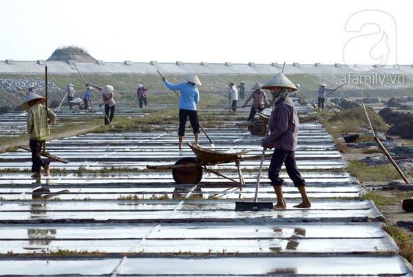 Những nữ diêm dân mải miết gom “quà của biển” 11