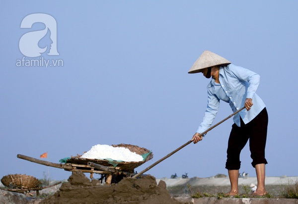 Những nữ diêm dân mải miết gom “quà của biển” 12