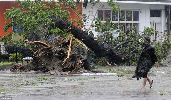 Siêu bão Haiyan hơn cả cơn sóng thần gây ra thảm cảnh tang tóc ở Philippines 10