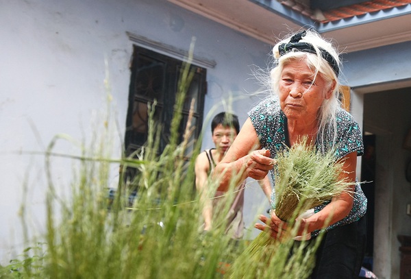 Cốm Hà Nội vào mùa, ngổn ngang lòng người làm cốm 12