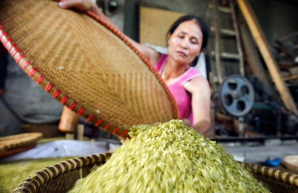 Cốm Hà Nội vào mùa, ngổn ngang lòng người làm cốm 14