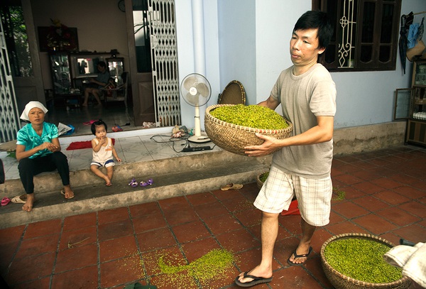 Cốm Hà Nội vào mùa, ngổn ngang lòng người làm cốm 3