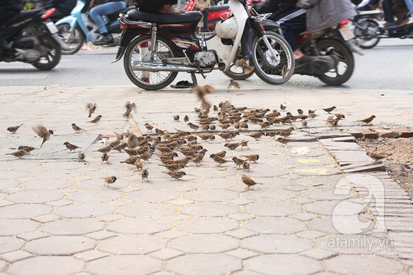 Người đàn bà 