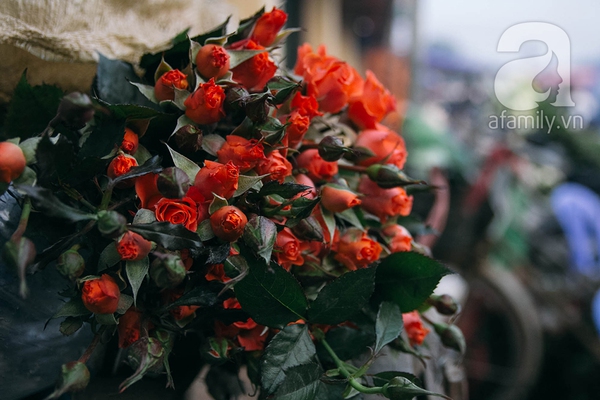 Sắc màu mùa xuân ở chợ hoa lớn nhất Hà Nội những ngày giáp Tết 6
