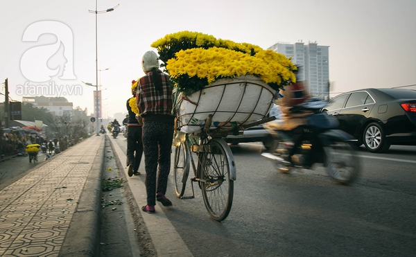 Sắc màu mùa xuân ở chợ hoa lớn nhất Hà Nội những ngày giáp Tết 11