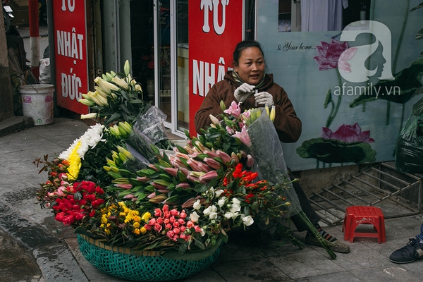 Sắc màu mùa xuân ở chợ hoa lớn nhất Hà Nội những ngày giáp Tết 12