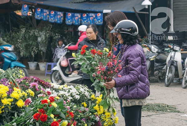 Sắc màu mùa xuân ở chợ hoa lớn nhất Hà Nội những ngày giáp Tết 15