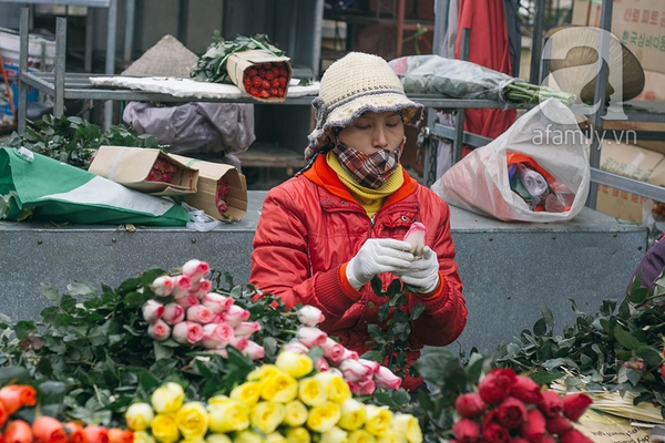 Sắc màu mùa xuân ở chợ hoa lớn nhất Hà Nội những ngày giáp Tết 8