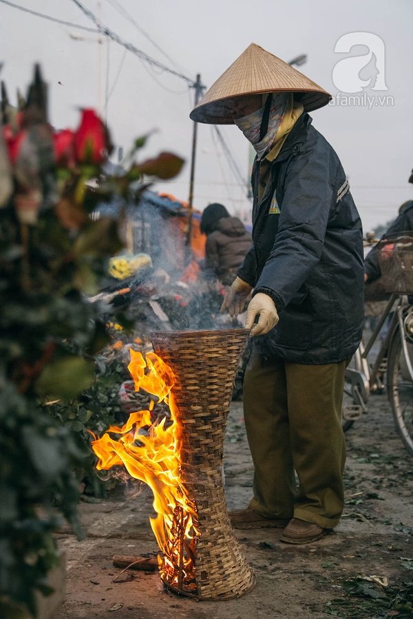 Sắc màu mùa xuân ở chợ hoa lớn nhất Hà Nội những ngày giáp Tết 2