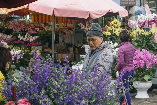 Sắc màu mùa xuân ở chợ hoa lớn nhất Hà Nội những ngày giáp Tết 14