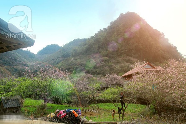 Đẹp Đẹp
