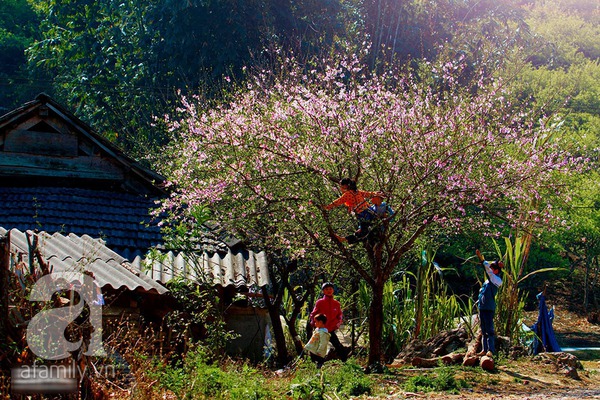 Đẹp Đẹp