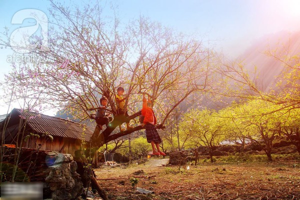 Đẹp Đẹp