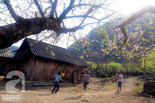 Đẹp Đẹp