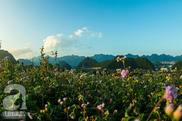 Đẹp Đẹp