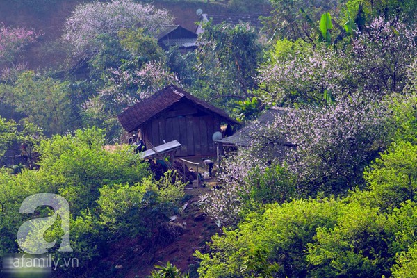 Đẹp Đẹp
