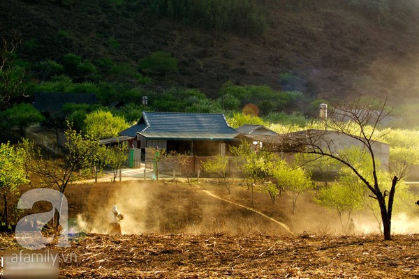 Đẹp Đẹp