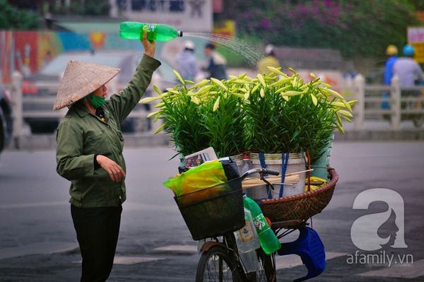 loa kèn tháng tư