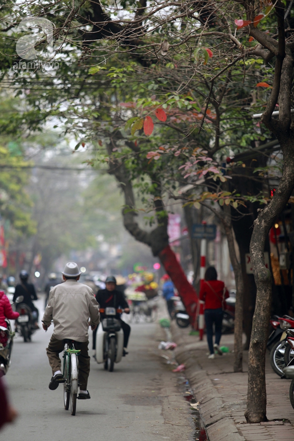 Hà Nội đẹp ngỡ ngàng như tranh mùa cây thay màu lá 24