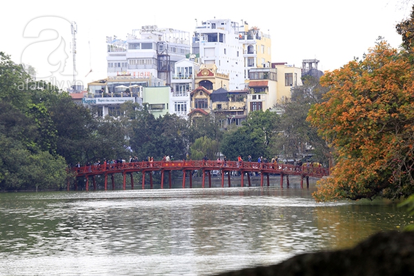 Hà Nội đẹp ngỡ ngàng như tranh mùa cây thay màu lá 1