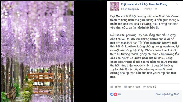 lễ hội hoa tử đằng lễ hội hoa tử đằng