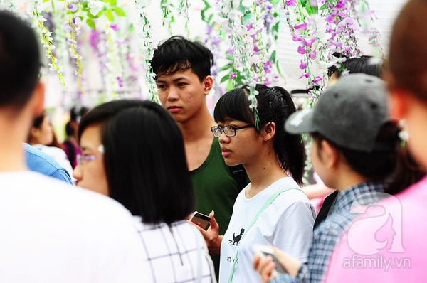 lễ hội hoa tử đằng lễ hội hoa tử đằng