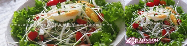 Salad rau mầm vừa giòn vừa mát 9