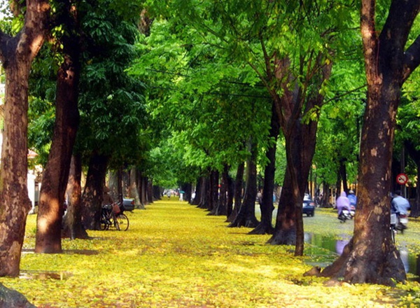 Những địa điểm vui chơi, ăn uống tuyệt vời nh&acirc;n ng&agrave;y 8/3 5