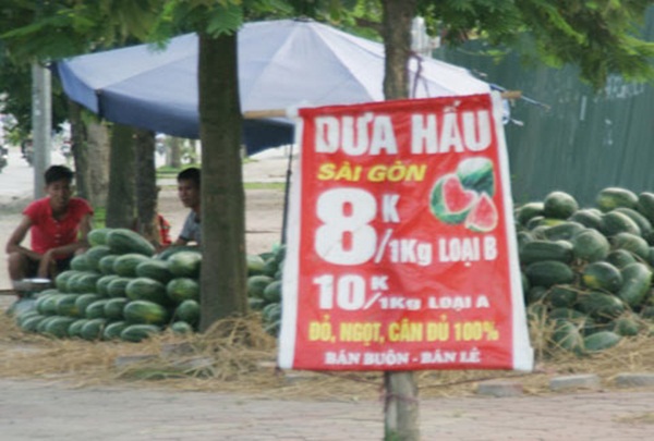 Chợ hoa quả khổng lồ trên vỉa hè Hà Nội  1