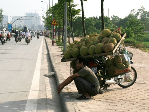 Chợ hoa quả khổng lồ trên vỉa hè Hà Nội  12