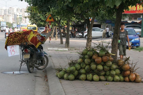 Chợ hoa quả khổng lồ trên vỉa hè Hà Nội  15