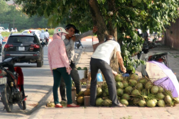 Chợ hoa quả khổng lồ trên vỉa hè Hà Nội  3