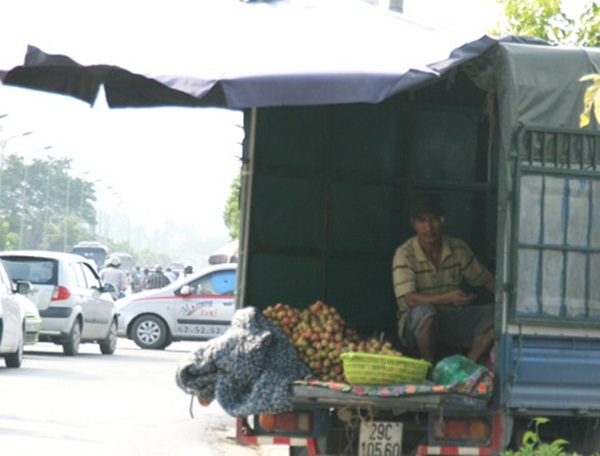 Chợ hoa quả khổng lồ trên vỉa hè Hà Nội  5