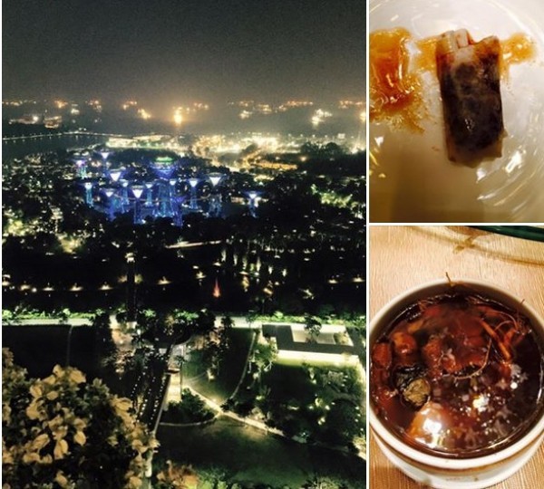 hồ ngọc h&agrave; v&agrave; đại gia ở singapore