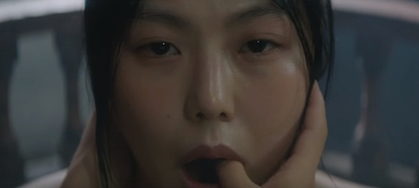 the handmaiden