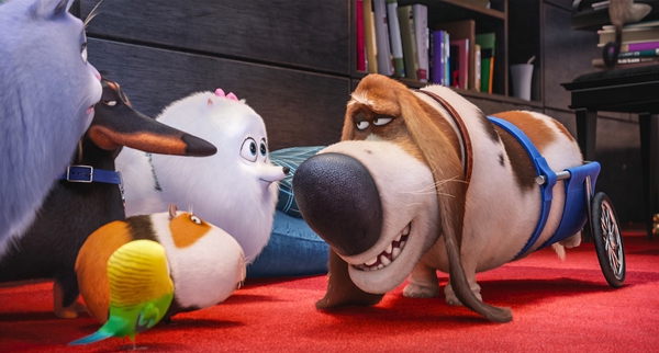 the secret life of pets