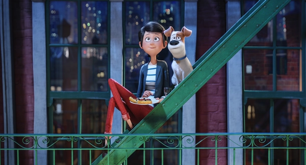 the secret life of pets the secret life of pets
